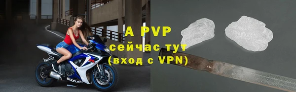 шишки Семилуки